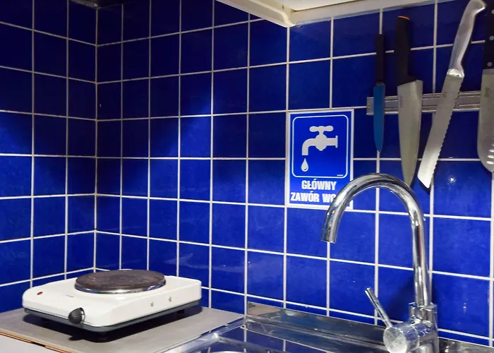 Shortstaypoland Srebrna