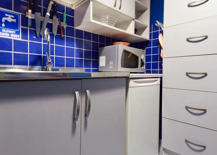 Shortstaypoland Srebrna