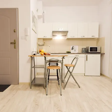 Shortstaypoland Srebrna